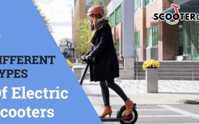 7 Different Types Of Electric Scooters Review